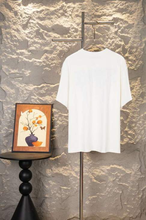 Dior T Shirts Short _SKUDiorS-XLxetr31115586